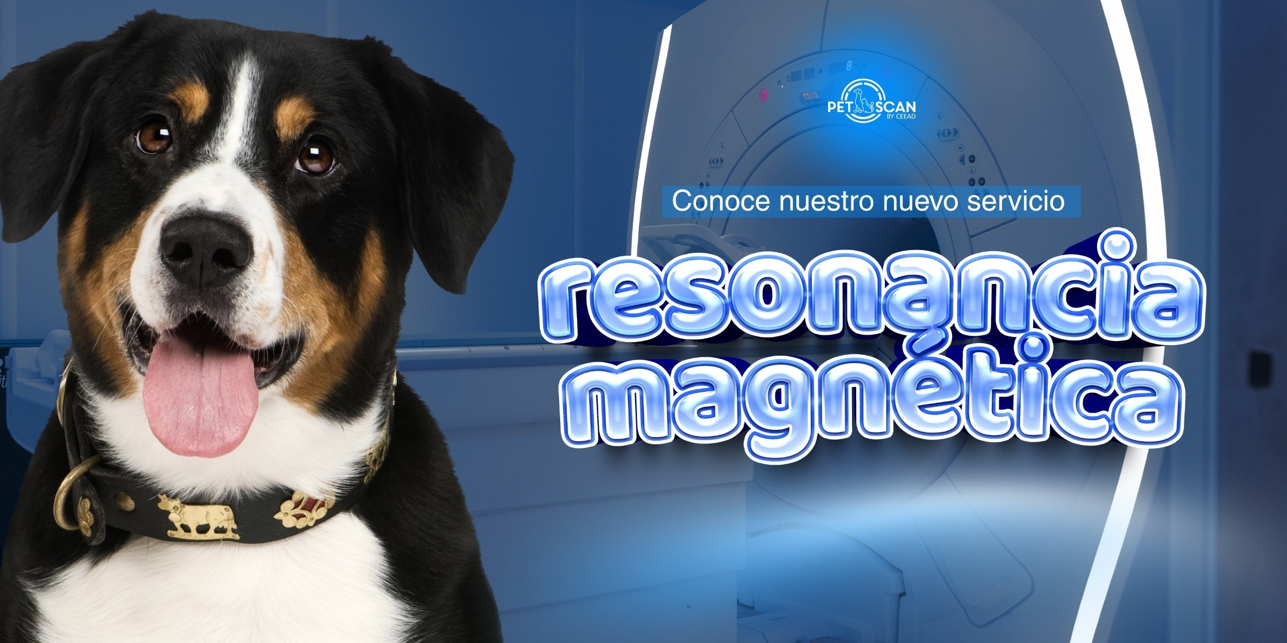 Banner-principal_PetScan-web